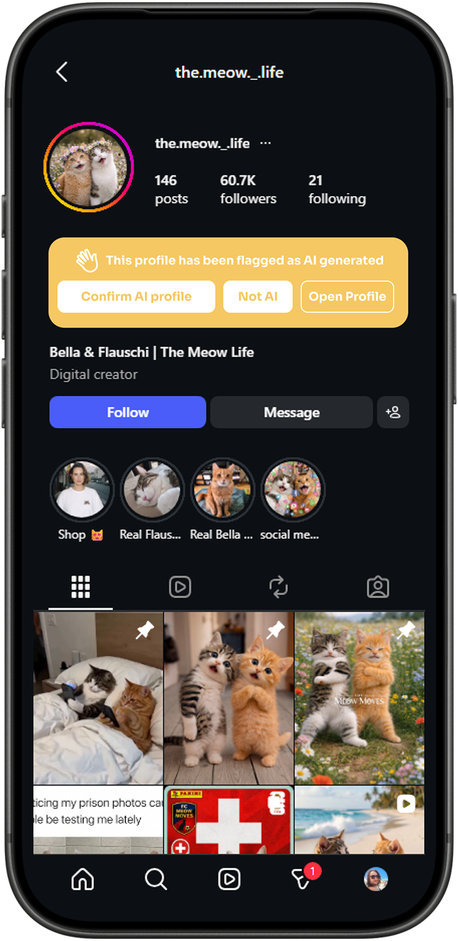 Instagram Mock